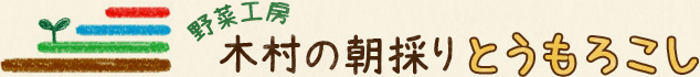 野菜工房・木村の朝採りとうもろこし